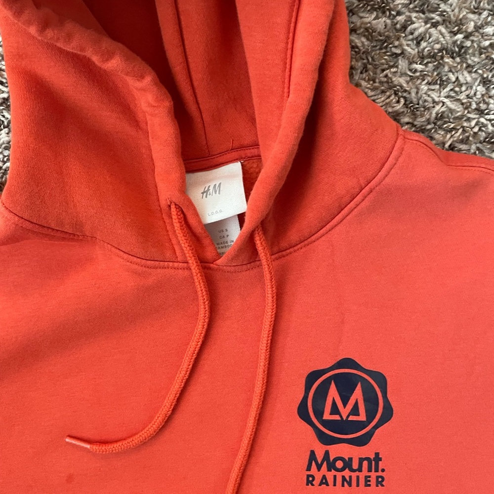 H&M Mount Rainer hoodie - Picture 6 of 11